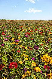 《霍格沃茨之遗》演示视频展示开放世界飞行玩法